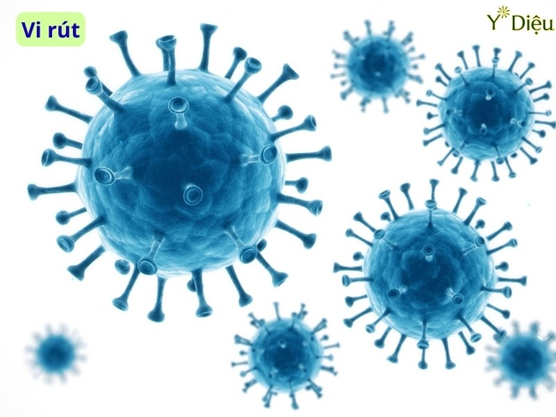 Virus cúm gây viêm đường hô hấp trên, dễ lan đến thanh quản